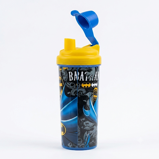 Kids Character Print Water Bottle