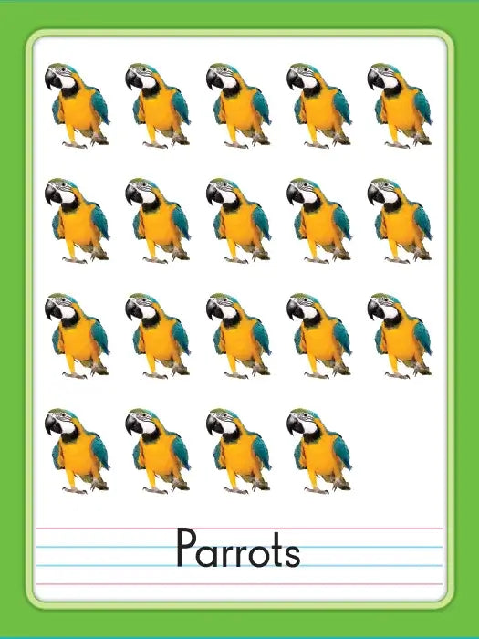 123 Number In Jungle page 4