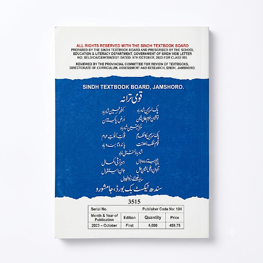 Social Studies - For Class VIII (Sindh Textbook Board, Test Edition)