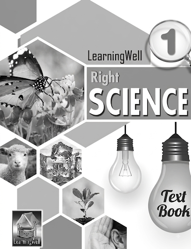 Right Science Activity Book 1