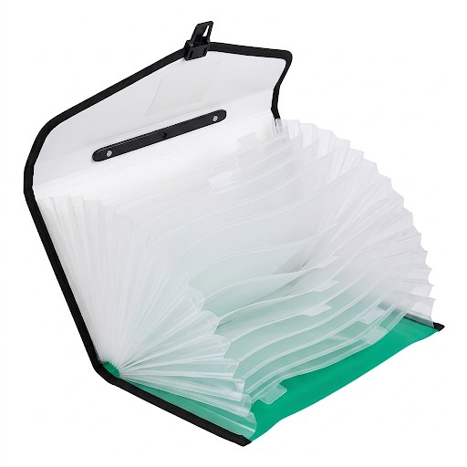 Bili C6021FH Expanding File with Handle