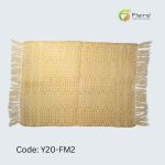 Y20-FM2